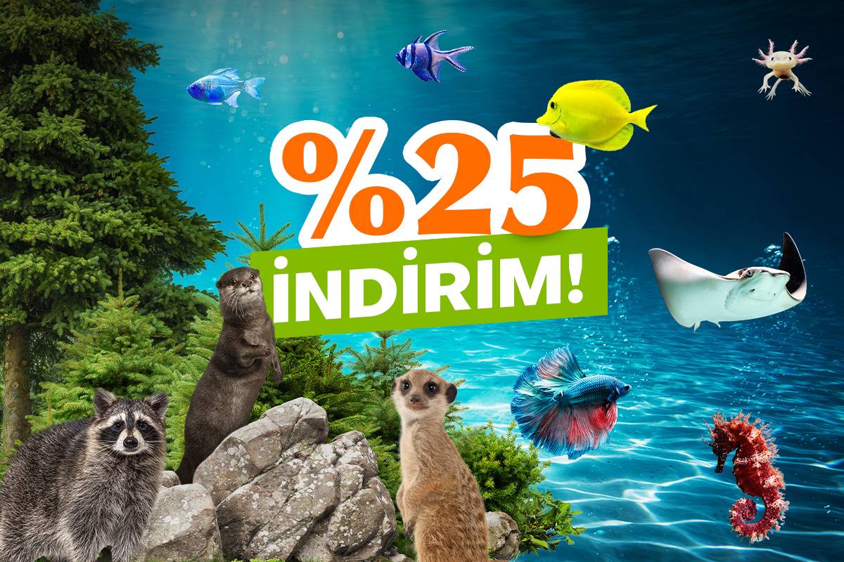25% Discount at Emaar Aquarium and Underwater Zoo