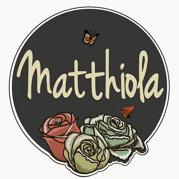 Matthiola Flowers