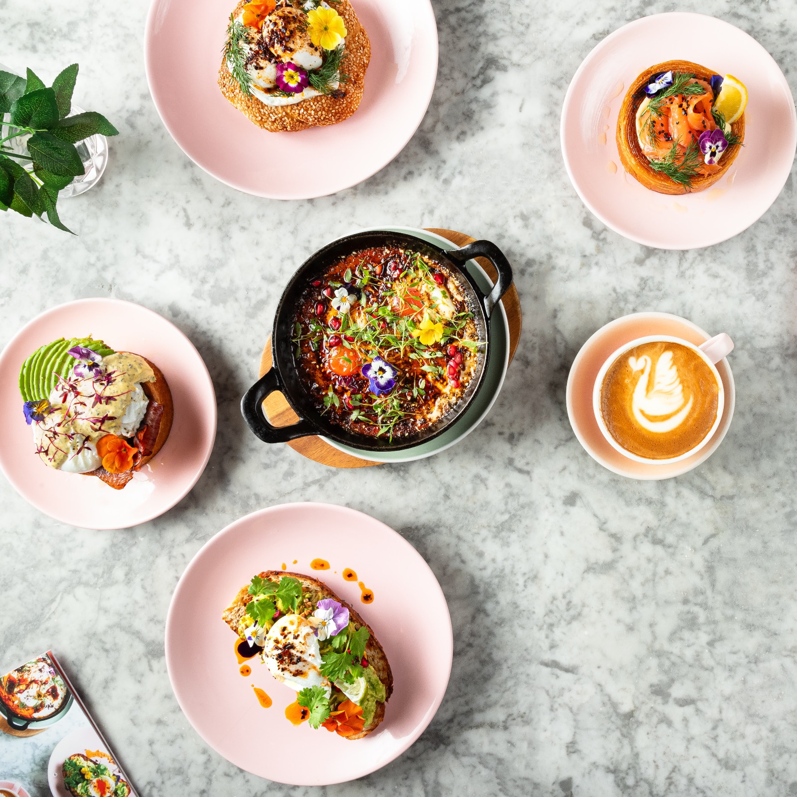 ذي إل آند إن ديلي آند بيكري